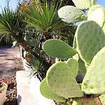 Casa Malvasia Nera Lägenhet Otranto