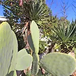 Casa Malvasia Nera Lägenhet Otranto