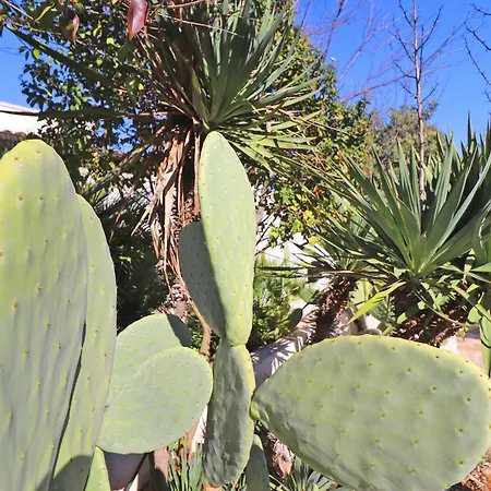 Casa Malvasia Nera Apartamento Otranto