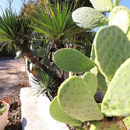 Casa Malvasia Nera Apartament Otranto