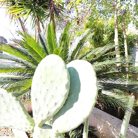 Apartamento Casa Malvasia Nera