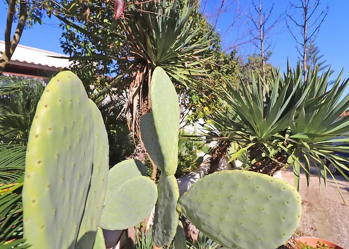 Casa Malvasia Nera Apartment Otranto