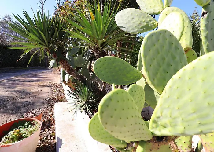 Casa Malvasia Nera Apartment Otranto